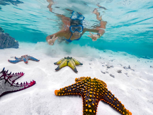 Zanzibar Islands