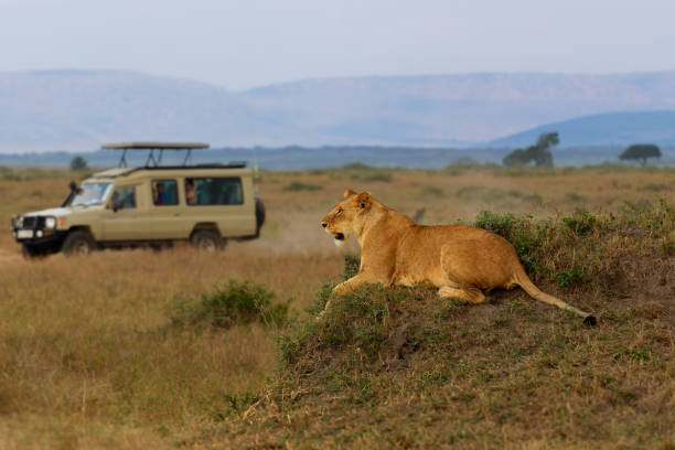 Kilimanjaro trekking and Tanzania safari tours