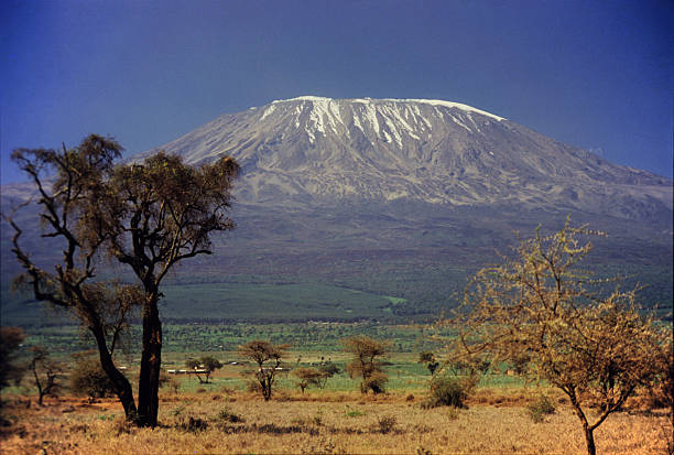 Kilimanjaro trekking and Tanzania safari tours