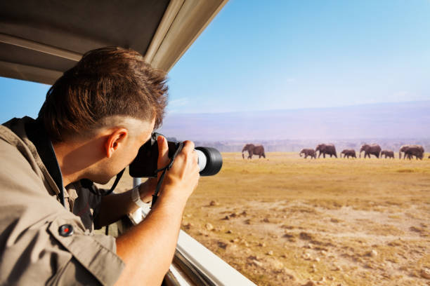 Tanzania Safari