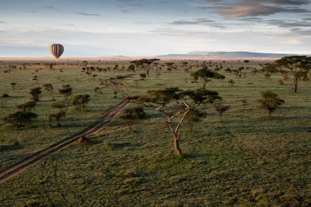Serengeti National Park