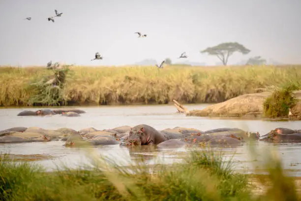 Serengeti National Park